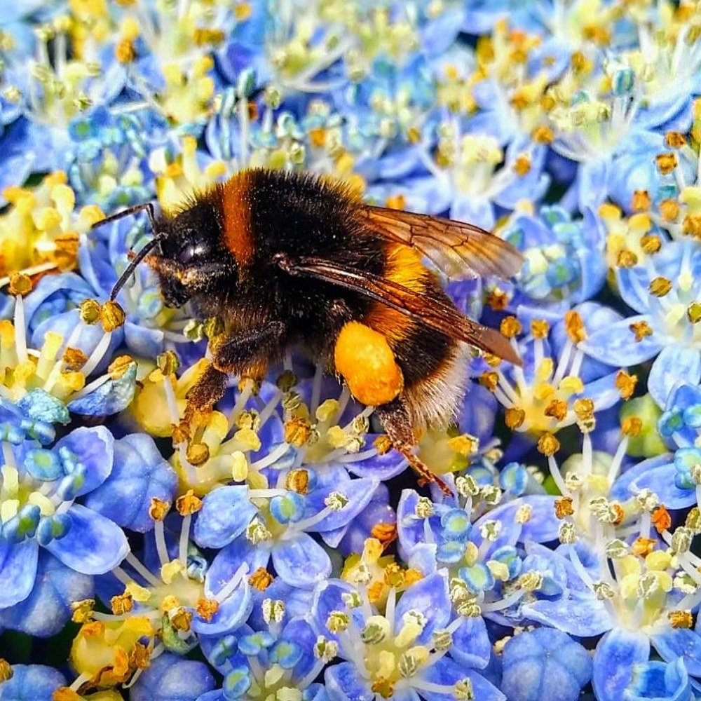 Photograph by Dmitrijs Zigilijs