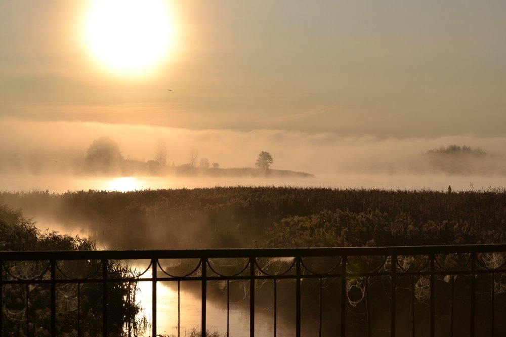 Остров в тумане