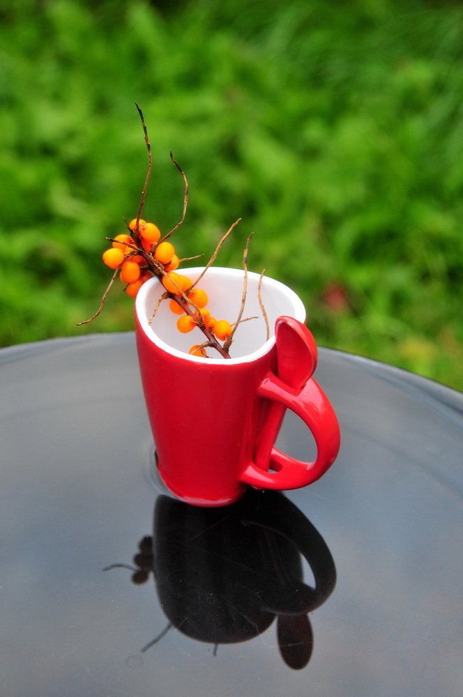 Утреннее настроение