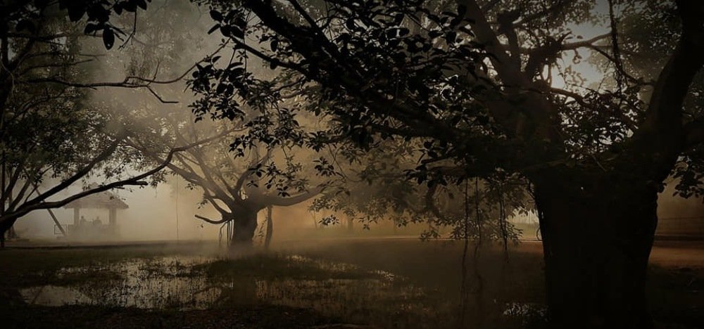 Misty Mosquito Smoke