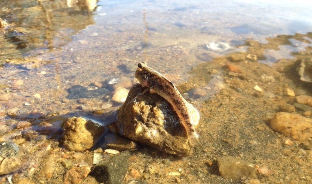 Photograph by Sanira Fernando