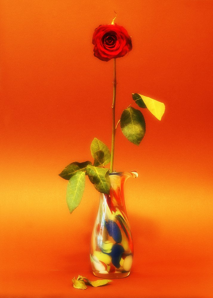 Photograph by Николай В.М.