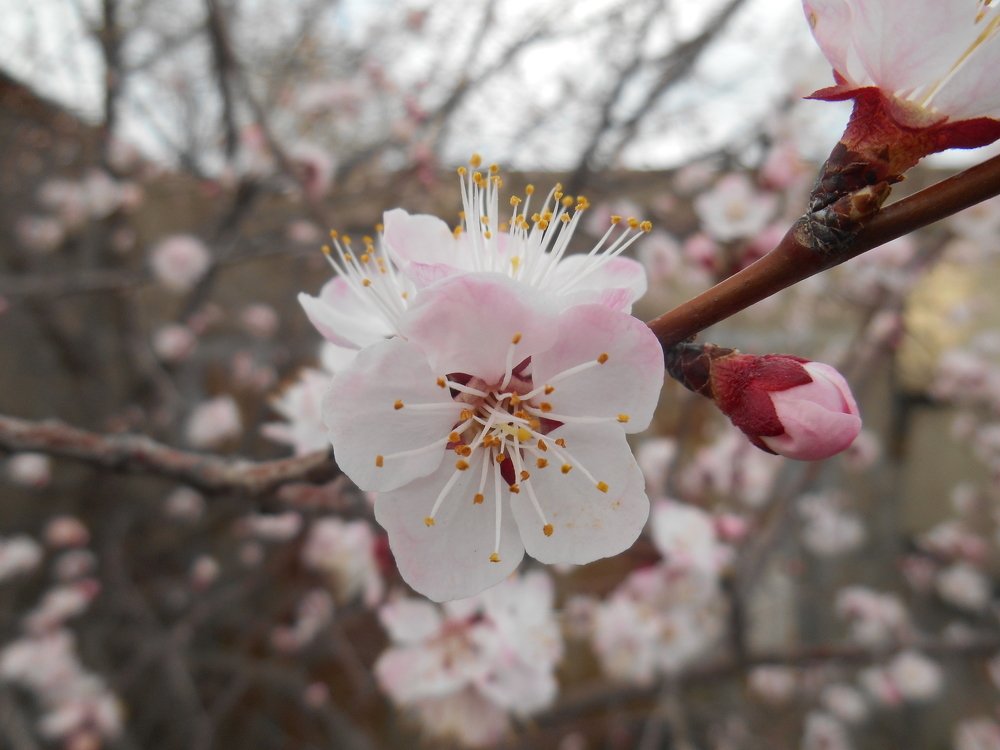 Photograph by Максим Грищенко