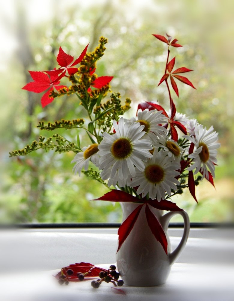 Осенние ромашки.