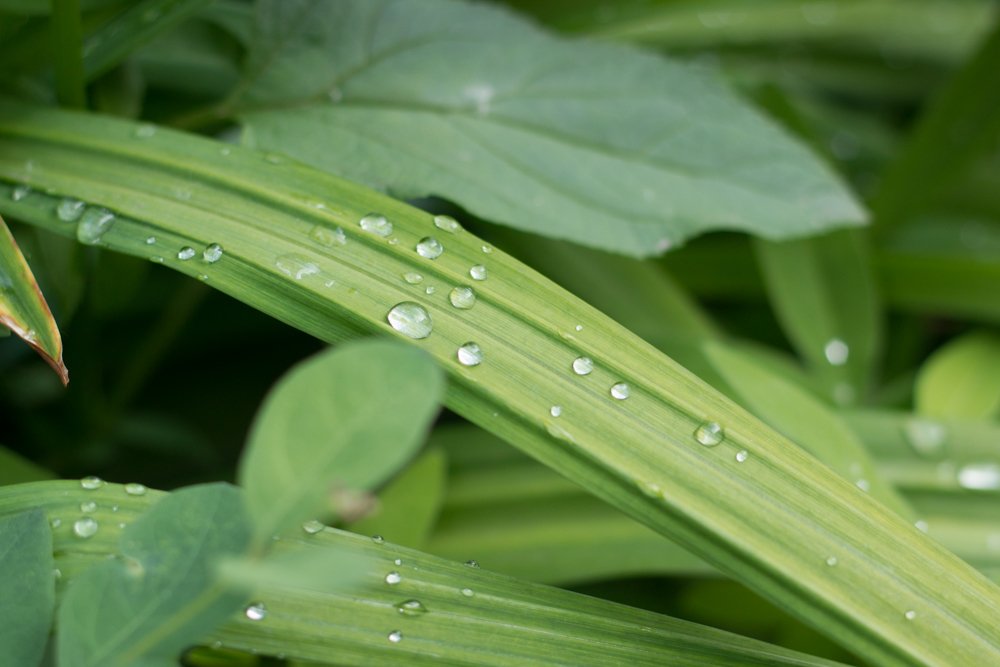 Photograph by Марина Хугаева