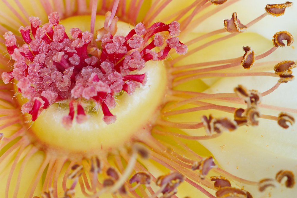 Photograph by Людмила Ефремова