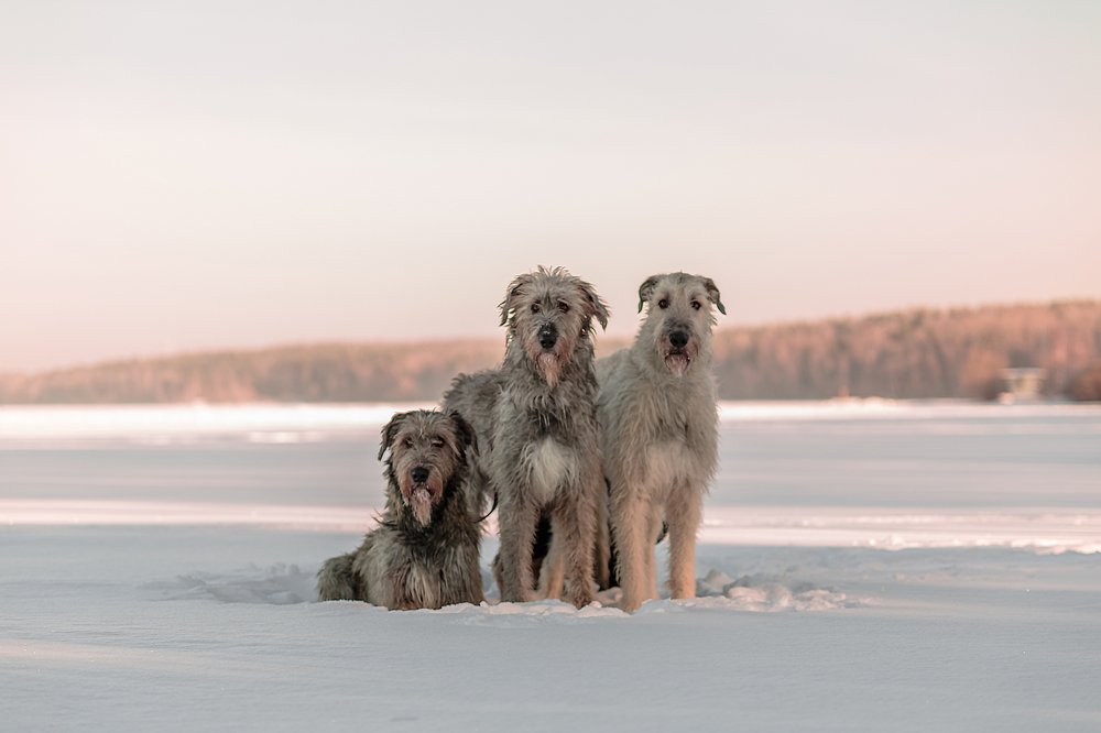 Photograph by Pavel Rebruk