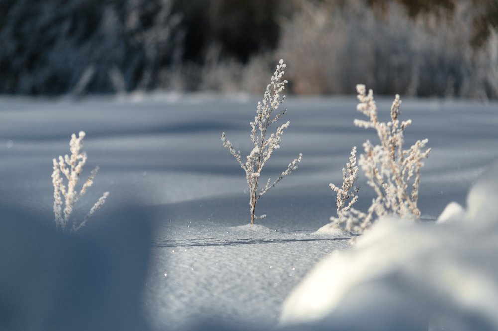 Photograph by Pavel Rebruk