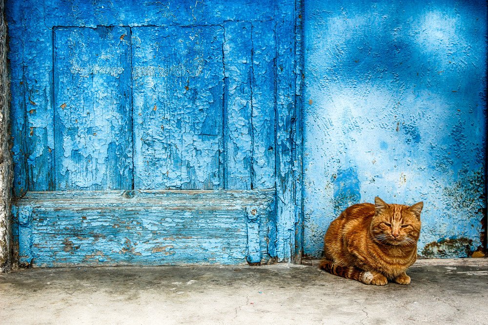 Photograph by Марина Иванова