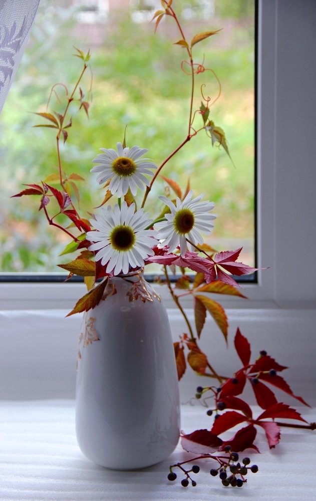 На окошке моём...