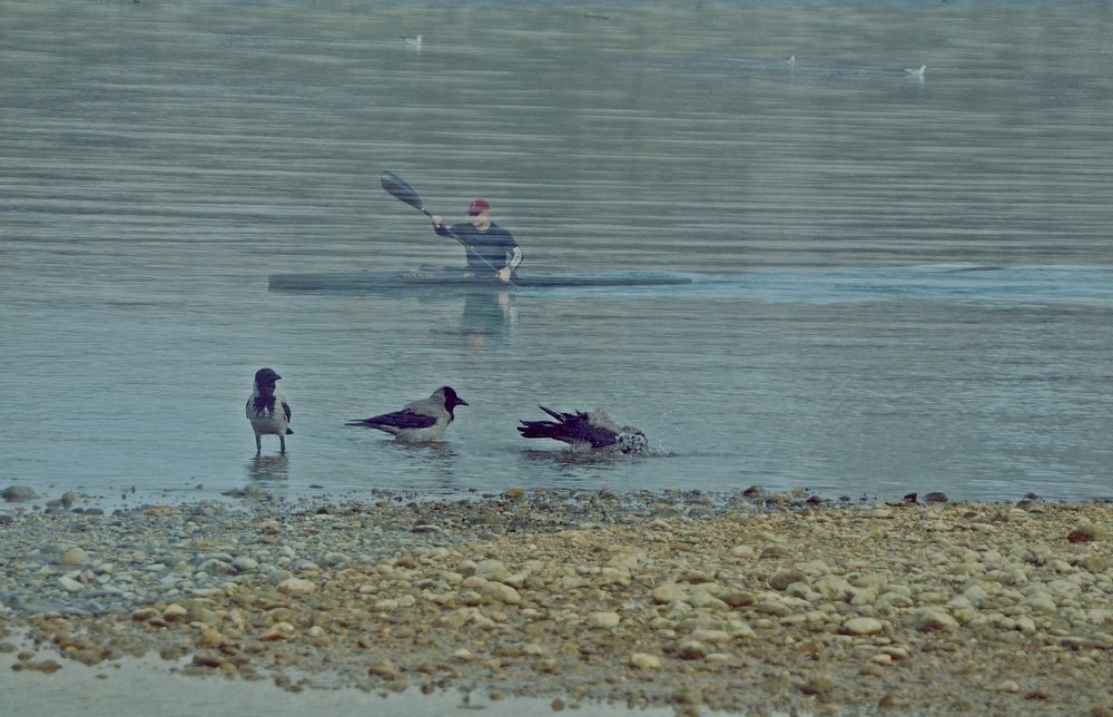 Photograph by Maria Berci