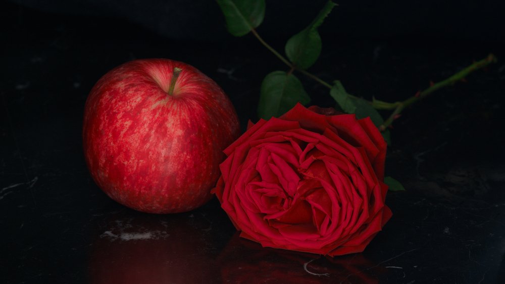 Photograph by Людмила Ефремова