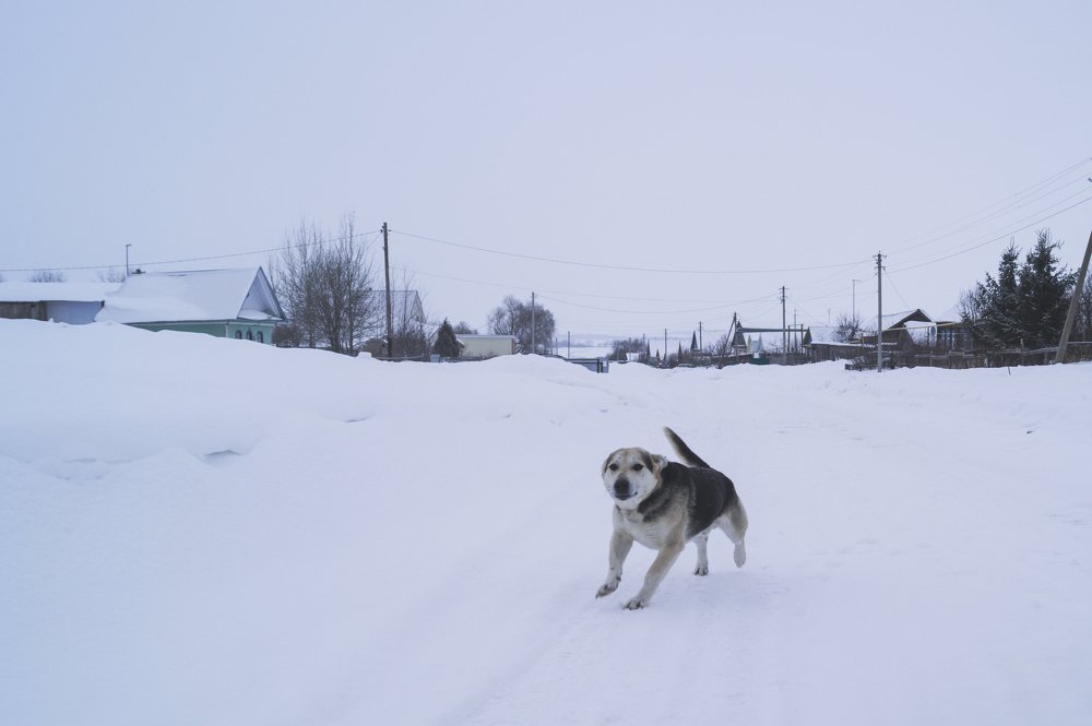 Photograph by Ксения Афанасьева