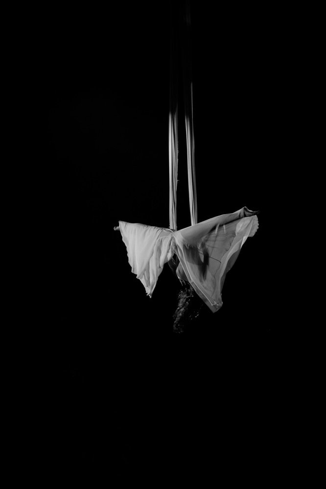 Белые крылья