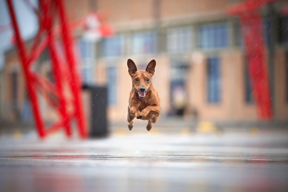 I believe I can fly!