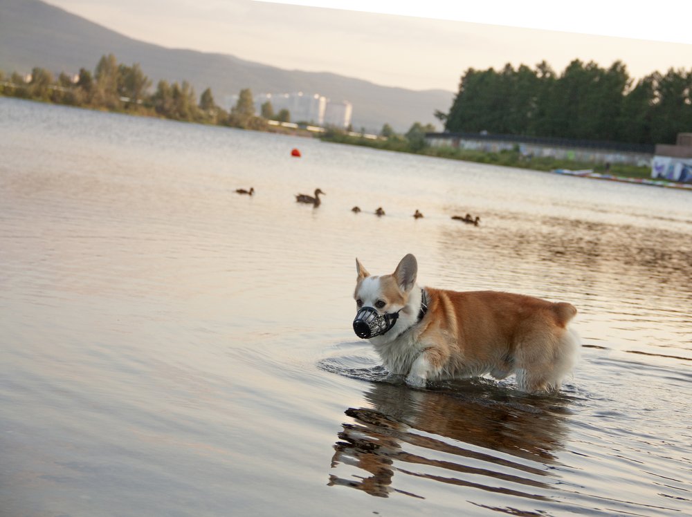 Photograph by Мария