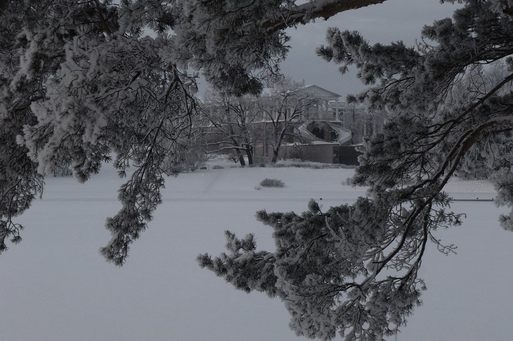 Photograph by Харис Шахмаметьев