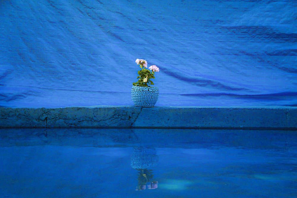 Фотография автора Elyas Iranmanesh