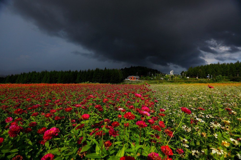 Photograph by Труханенко Валентин