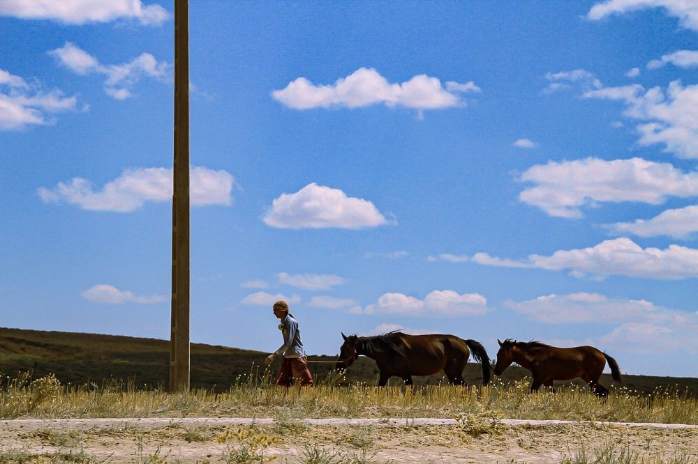 Фотография автора Elyas Iranmanesh