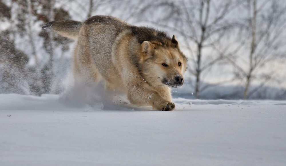 Photograph by Марина Фомина