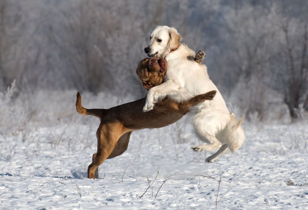 Photograph by Марина Фомина