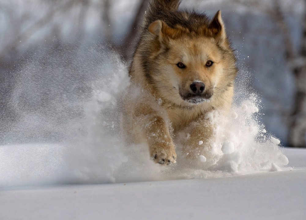 Photograph by Марина Фомина