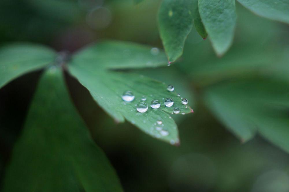 Фотография автора Людмила Богдан