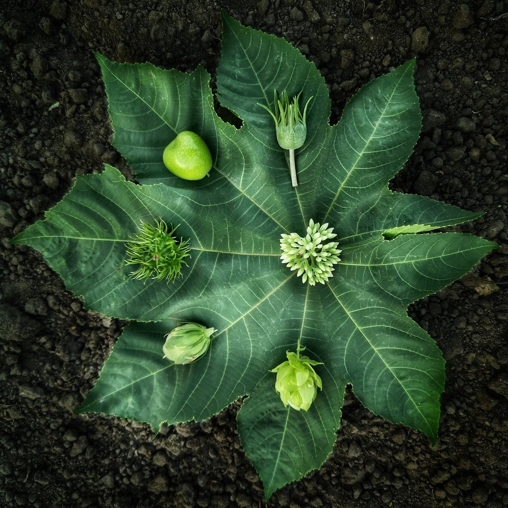 Фотография автора Людмила Богдан