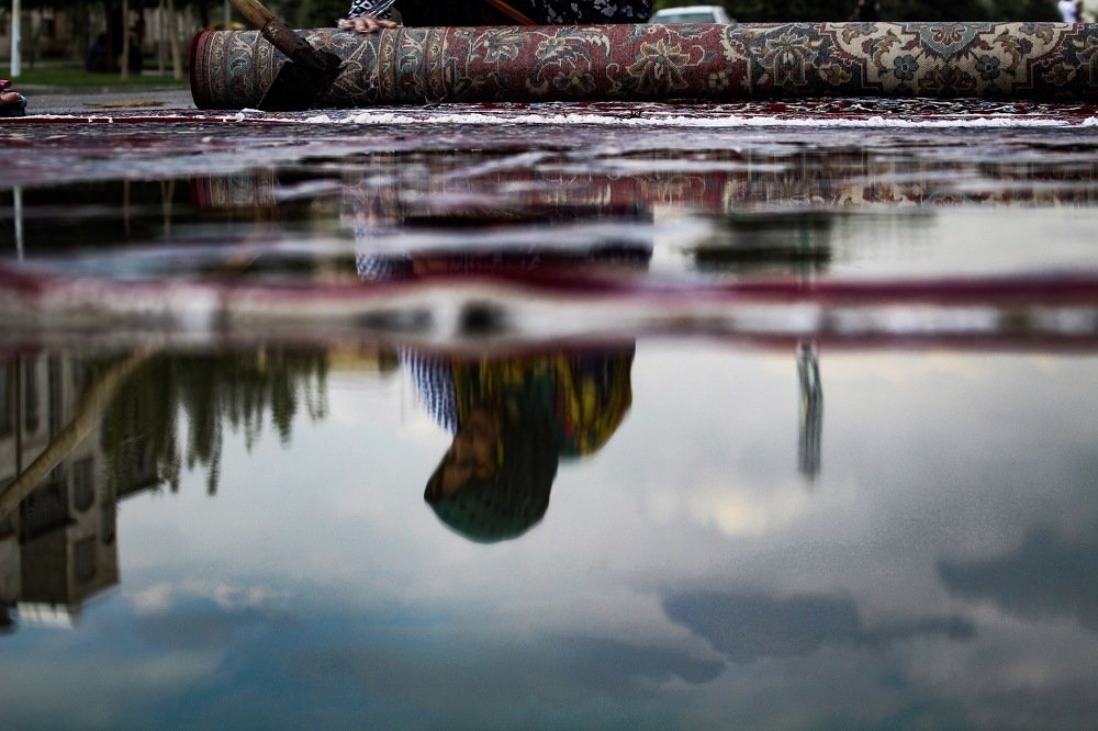 iranian woman in new year mood