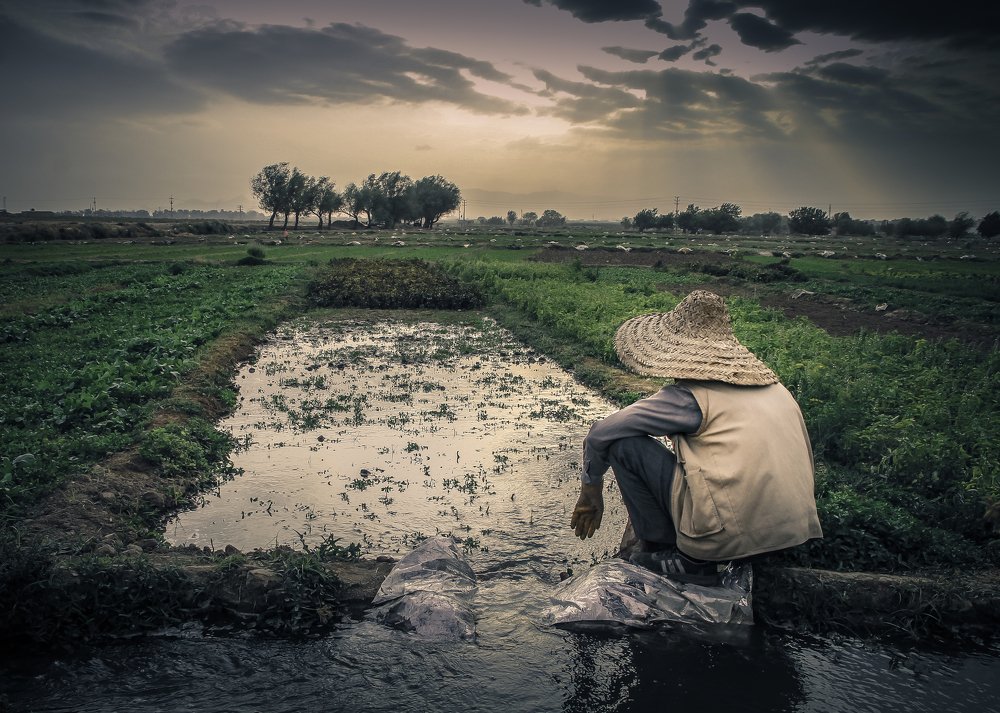 iranian farmer