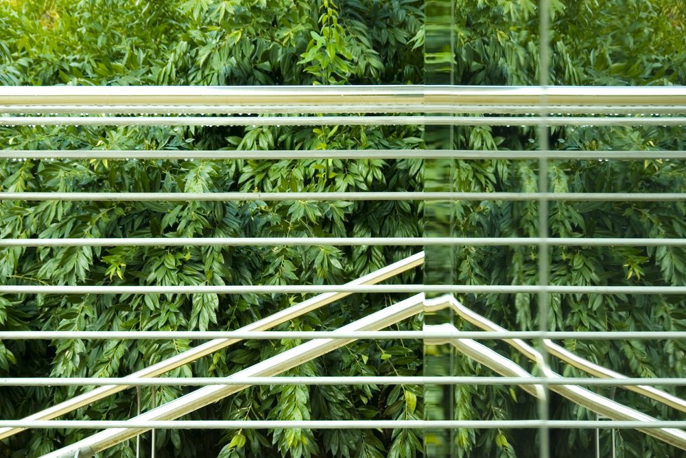 Photograph by Сергей Ростроса