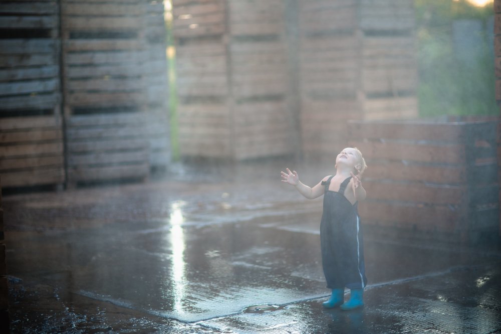 Фотография автора Светлана Новожилова