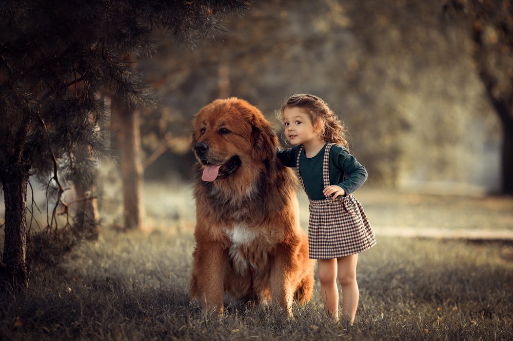 Мой большой друг!