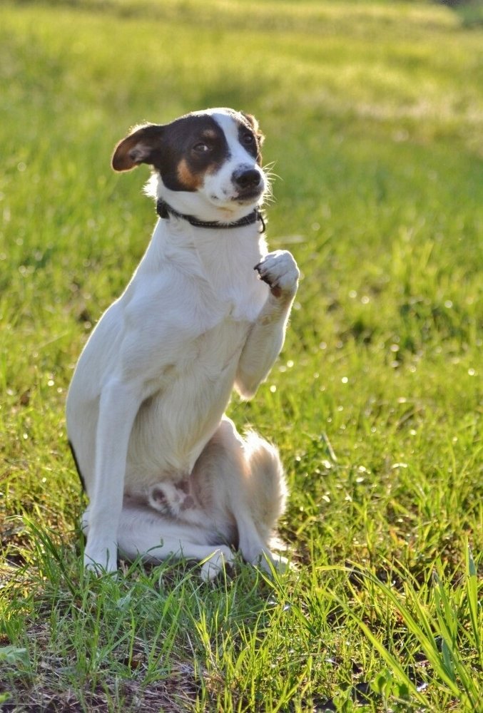 Photograph by Вячеслав Розмин