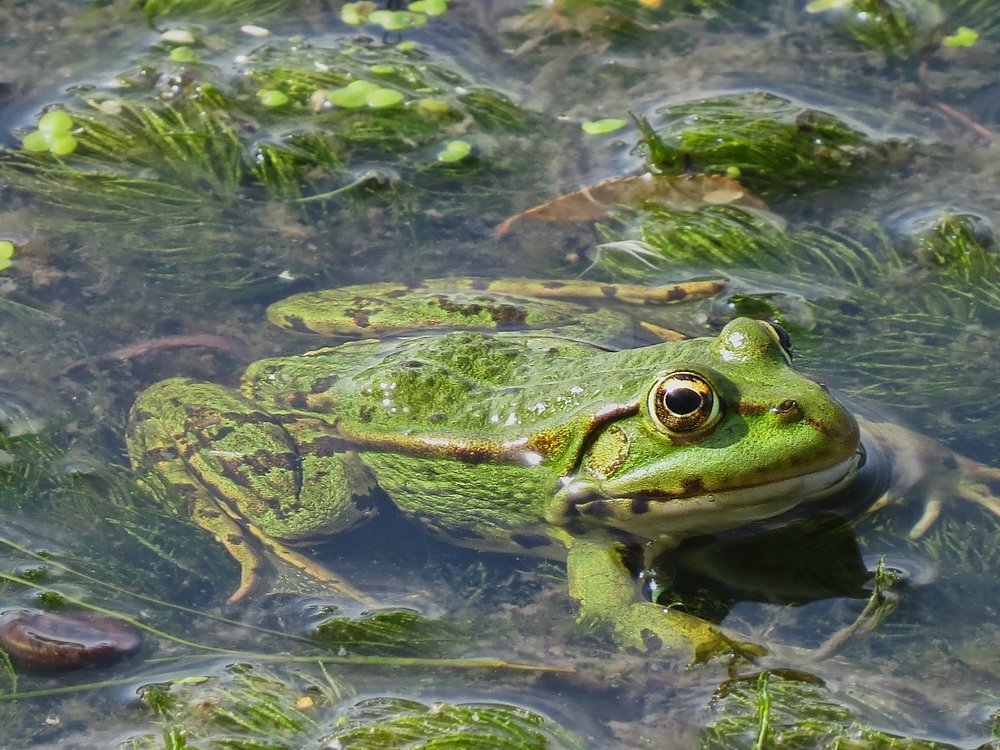 Photograph by Вячеслав Розмин
