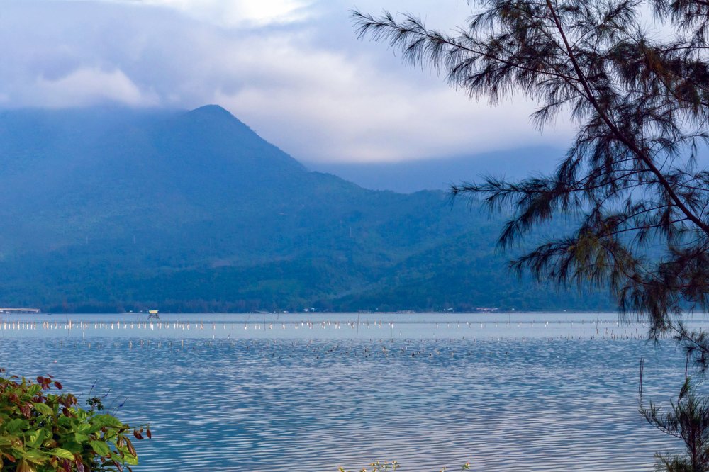 Фотография автора NeCoTi ChonTin