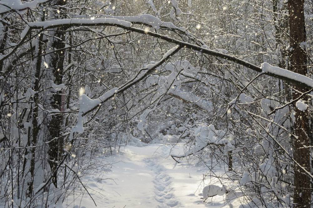 Photograph by Ольга Струкалина