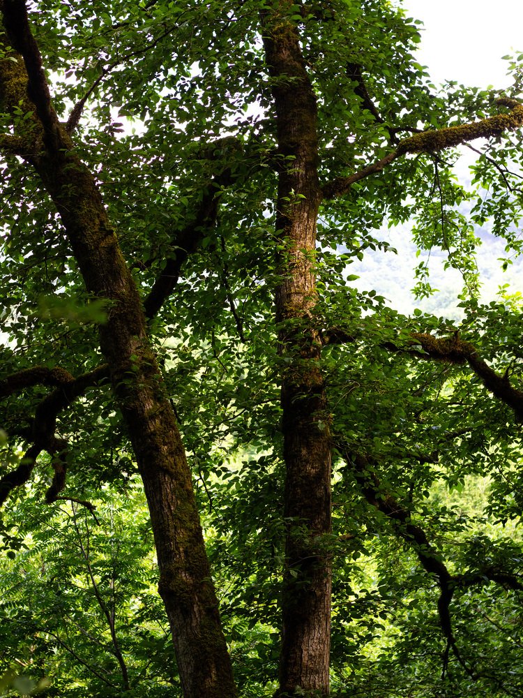 Photograph by Rasoul Soleimani