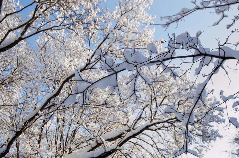 Photograph by Остапчук Юлия