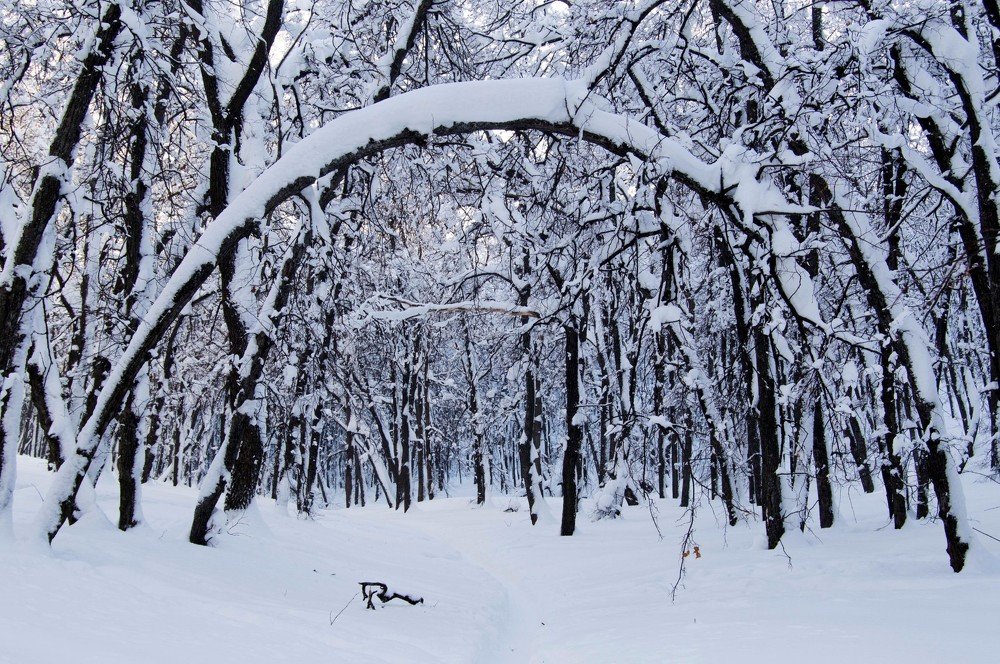 Photograph by Остапчук Юлия