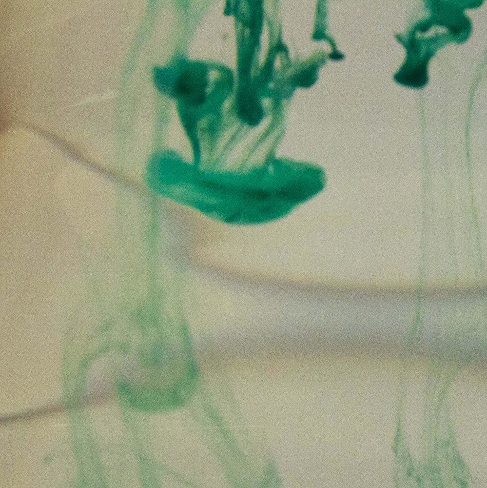 Photograph by Остапчук Юлия