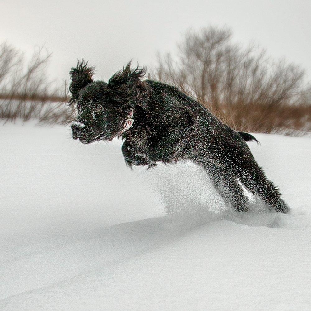Photograph by Сергей Евдокимов