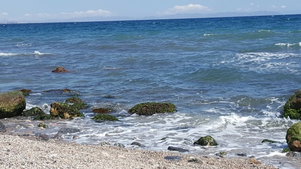 Photograph by Bucur Claudia