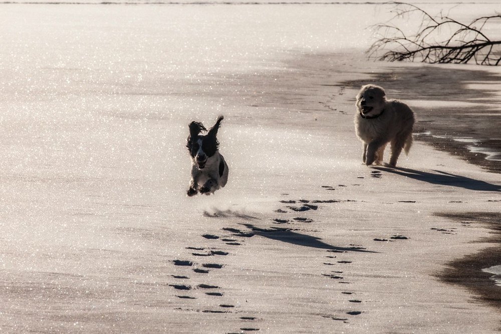 Photograph by Белова Лариса