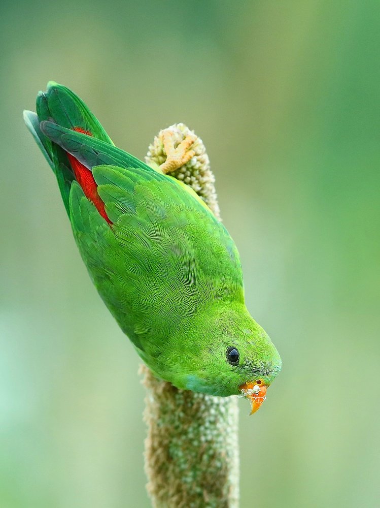 Photograph by Aditya Kshirsagar