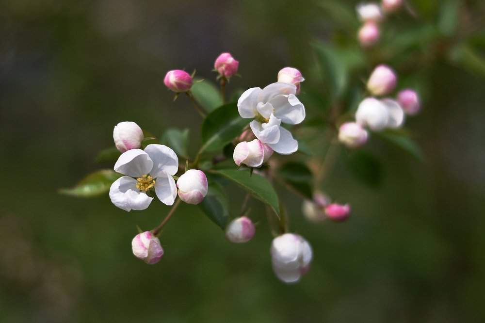 Photograph by Tatyana