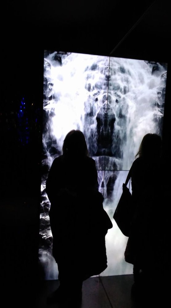 Photograph by Kovács Rita