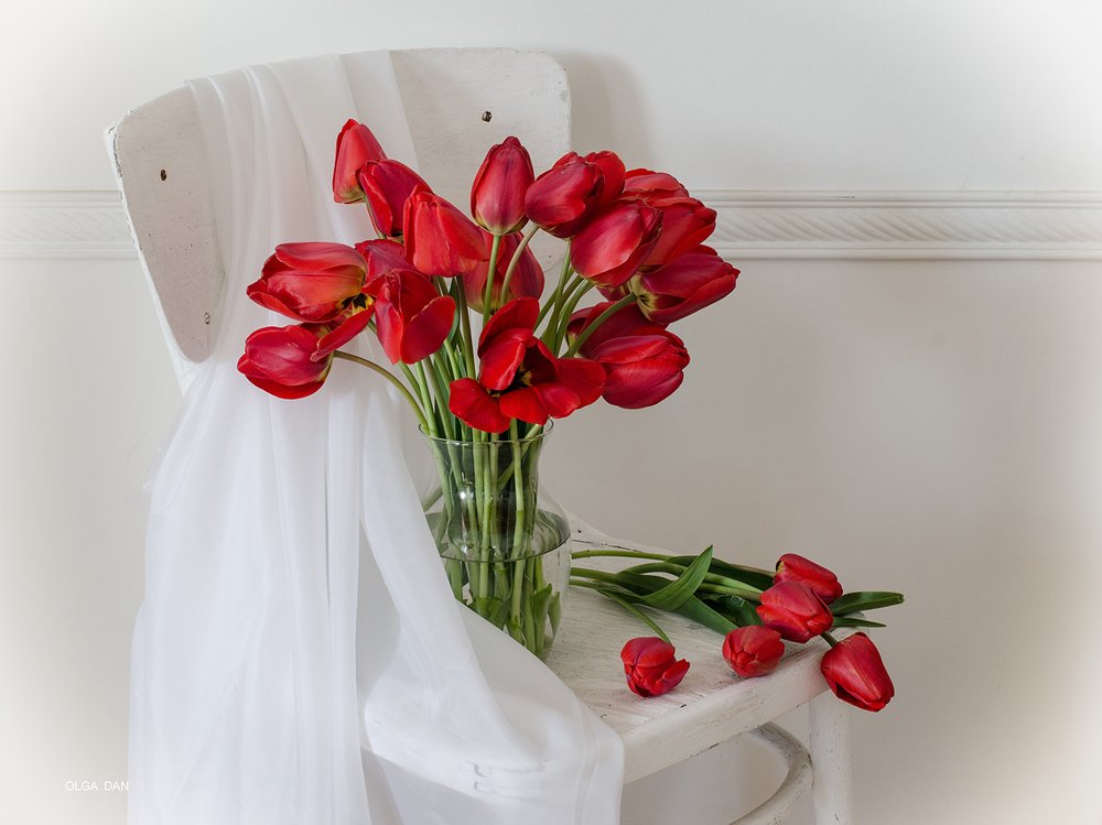 Photograph by Ольга Данилова