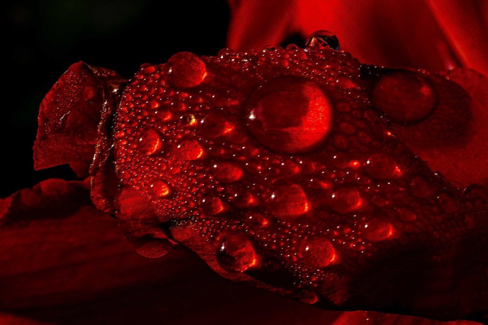 Photograph by Александр Романов